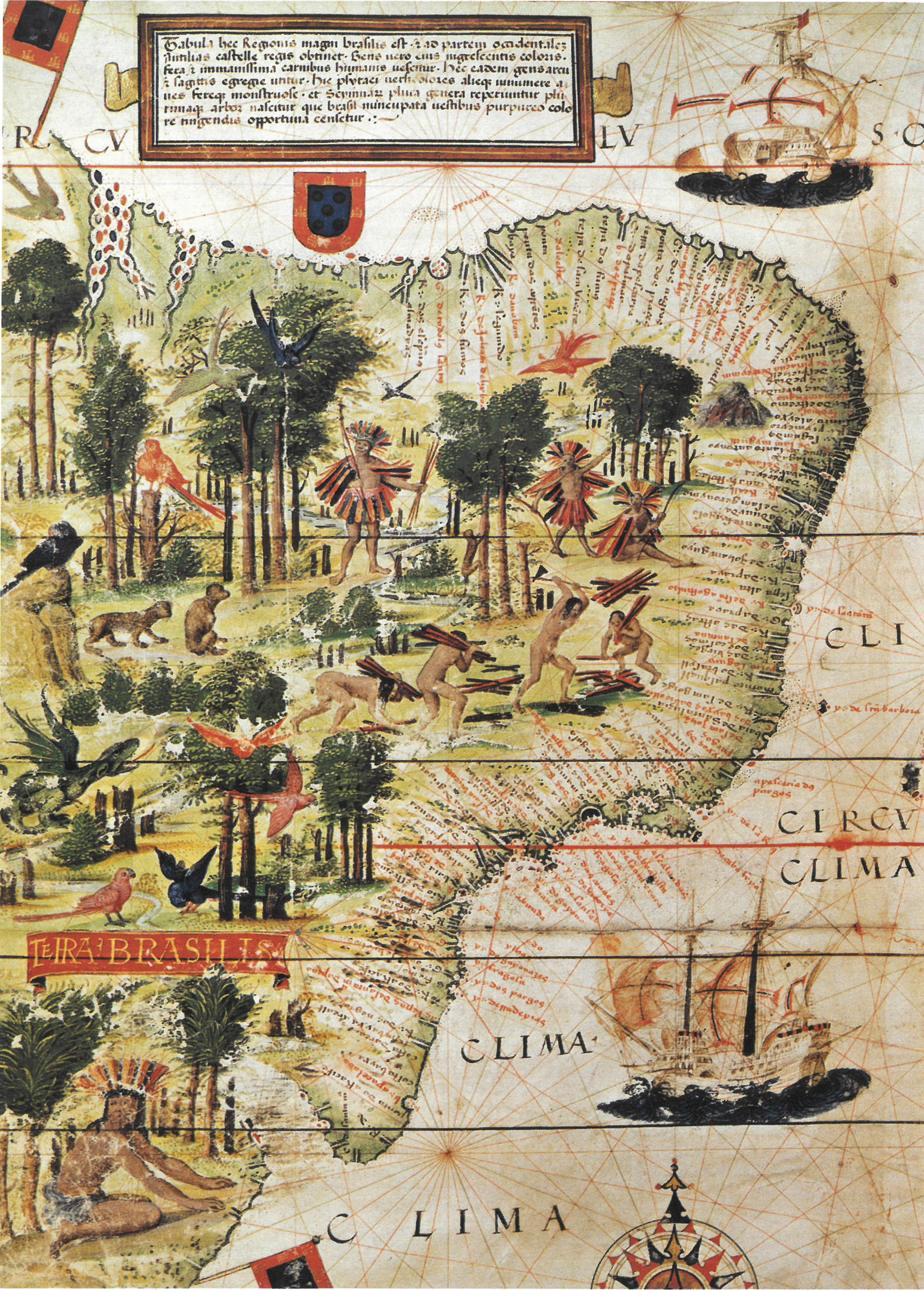 (1) Terra Brasilis. Lopo Homem. Acervo da Fundação Biblioteca Nacional - Brasil