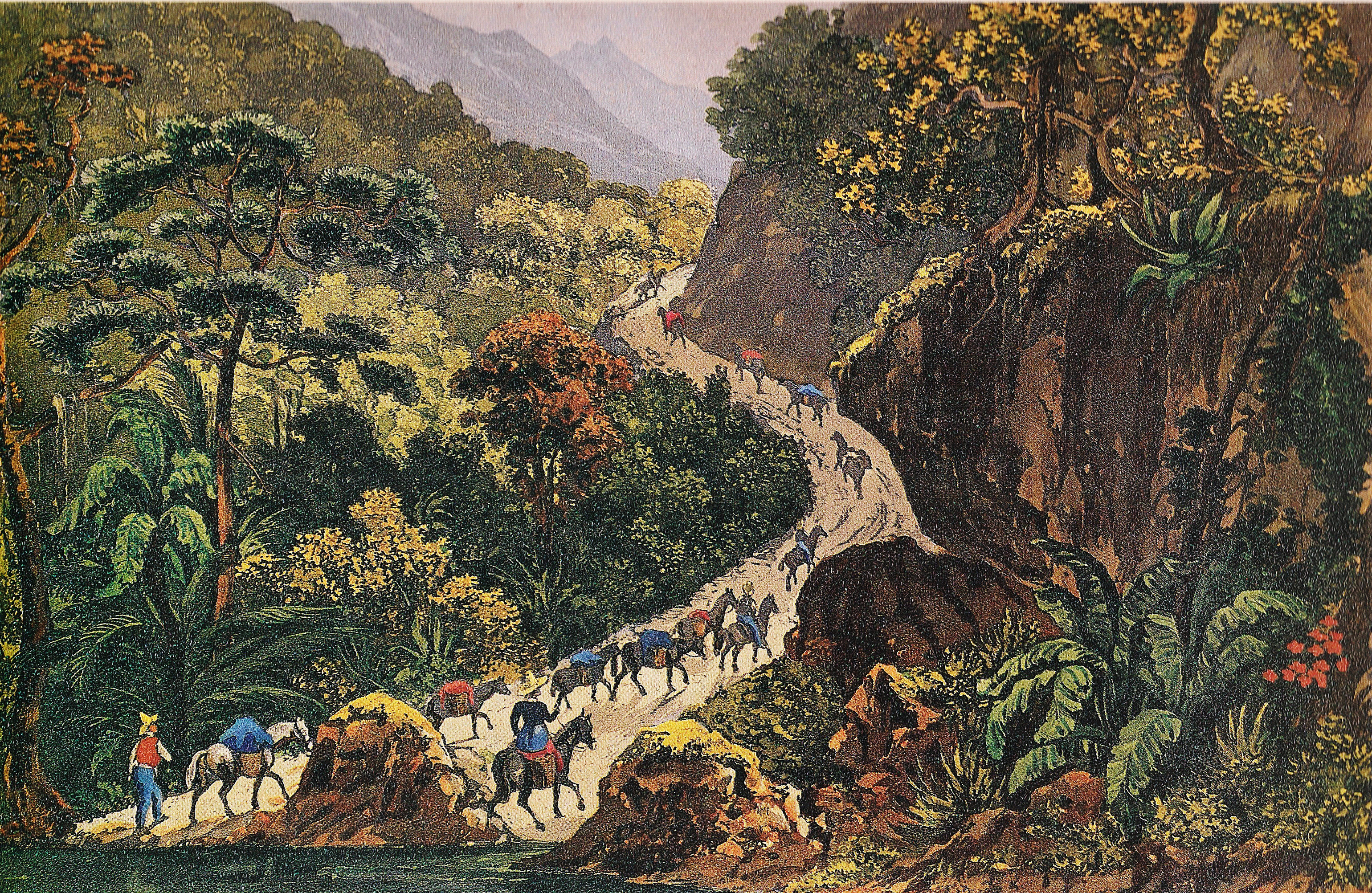 (1) Caminho dos Órgãos. Johann Jacob Steinmann<br> Acervo da Fundação da Biblioteca Nacional - Brasil