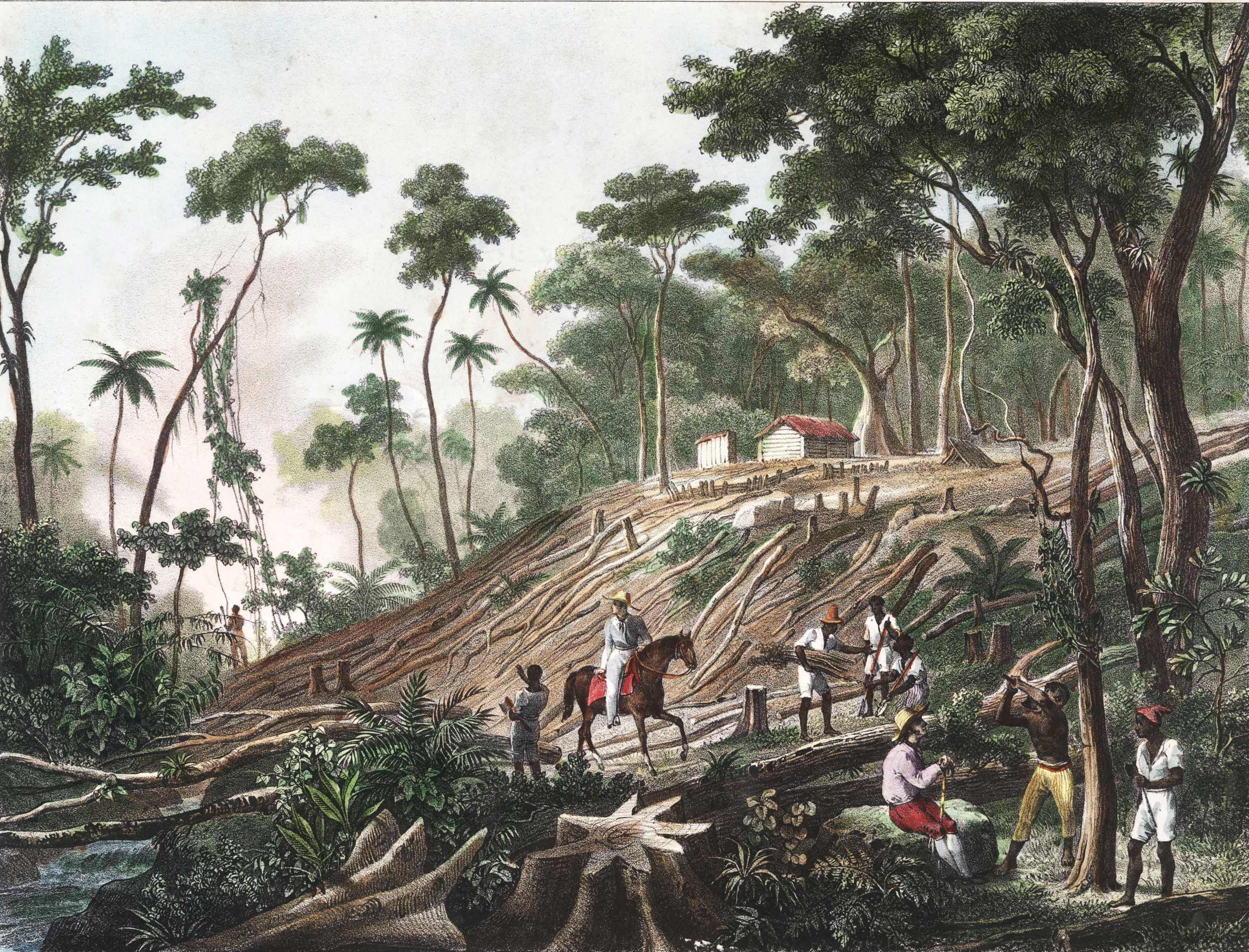 (2) Defrichement d´une forêt. Johann Moritz Rugendas<br> Acervo da Fundação Biblioteca Nacional - Brasil